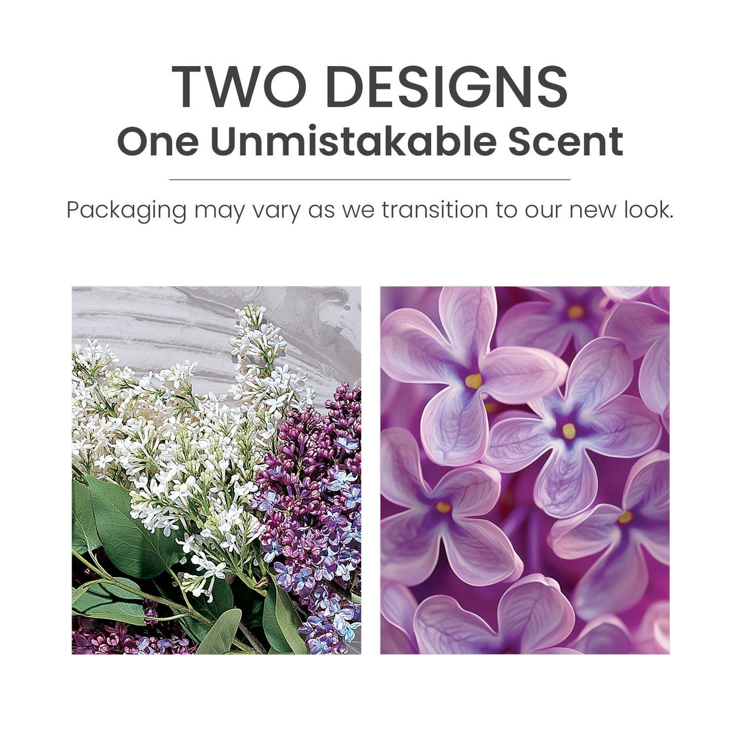 Lilac Blossoms ScentPlug® Refill