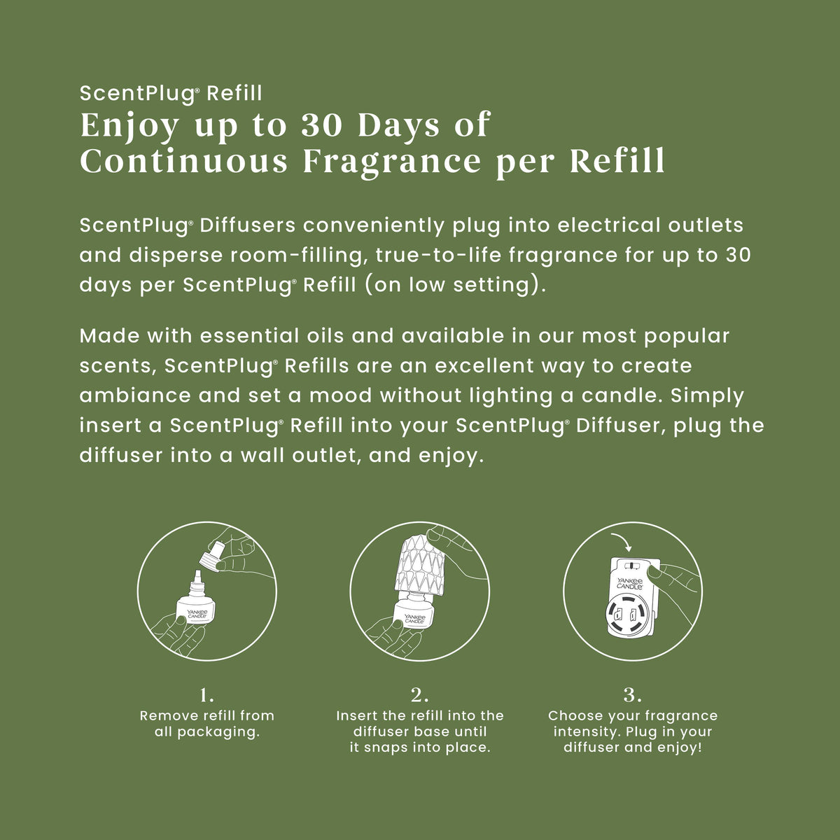 Balsam & Cedar ScentPlug® Refill