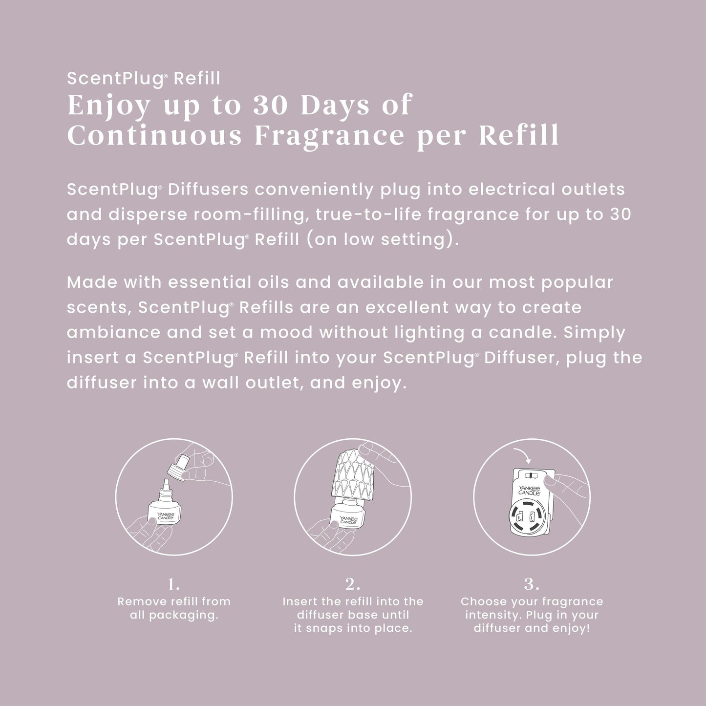 Dried Lavender & Oak ScentPlug® Refill