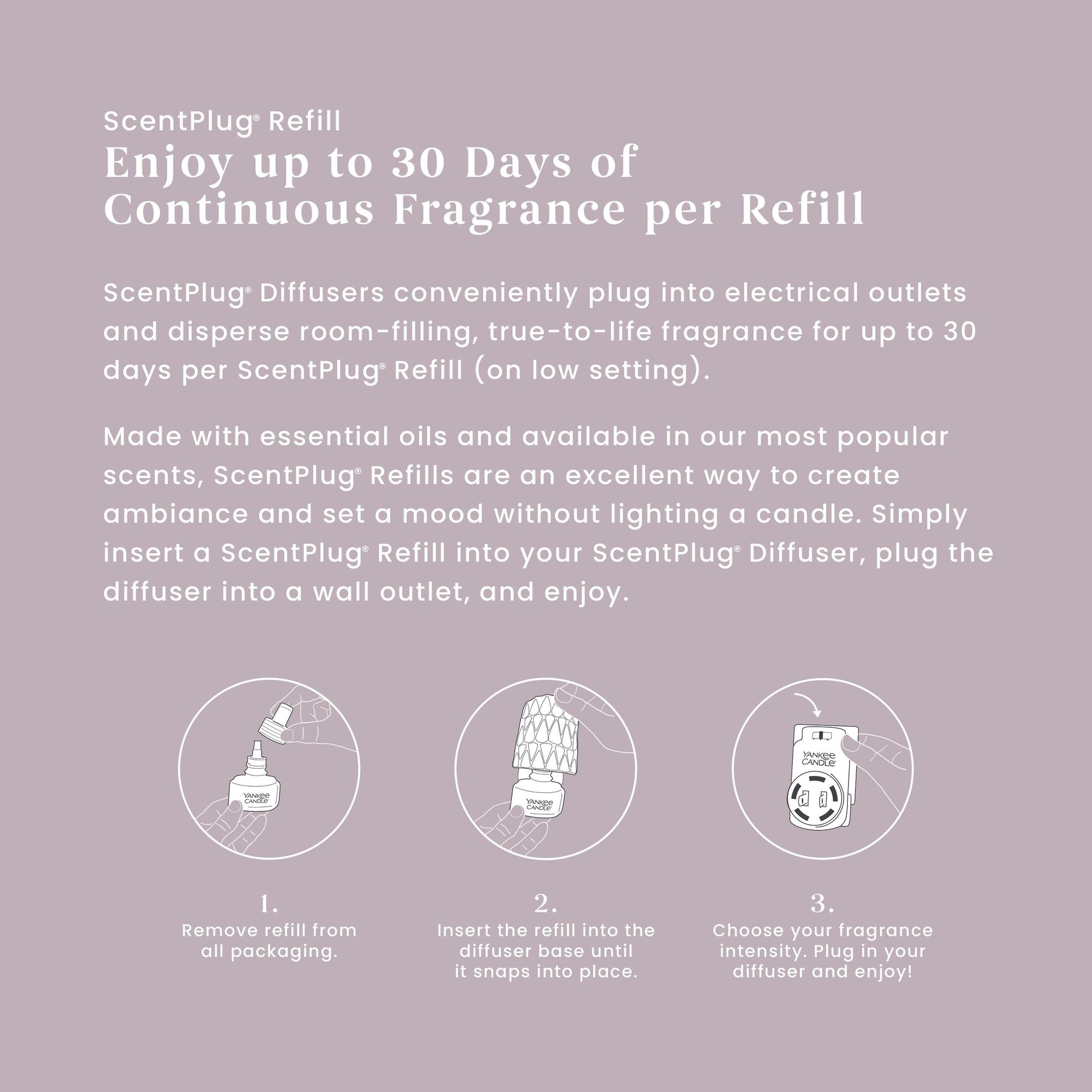 Dried Lavender & Oak ScentPlug® Refill