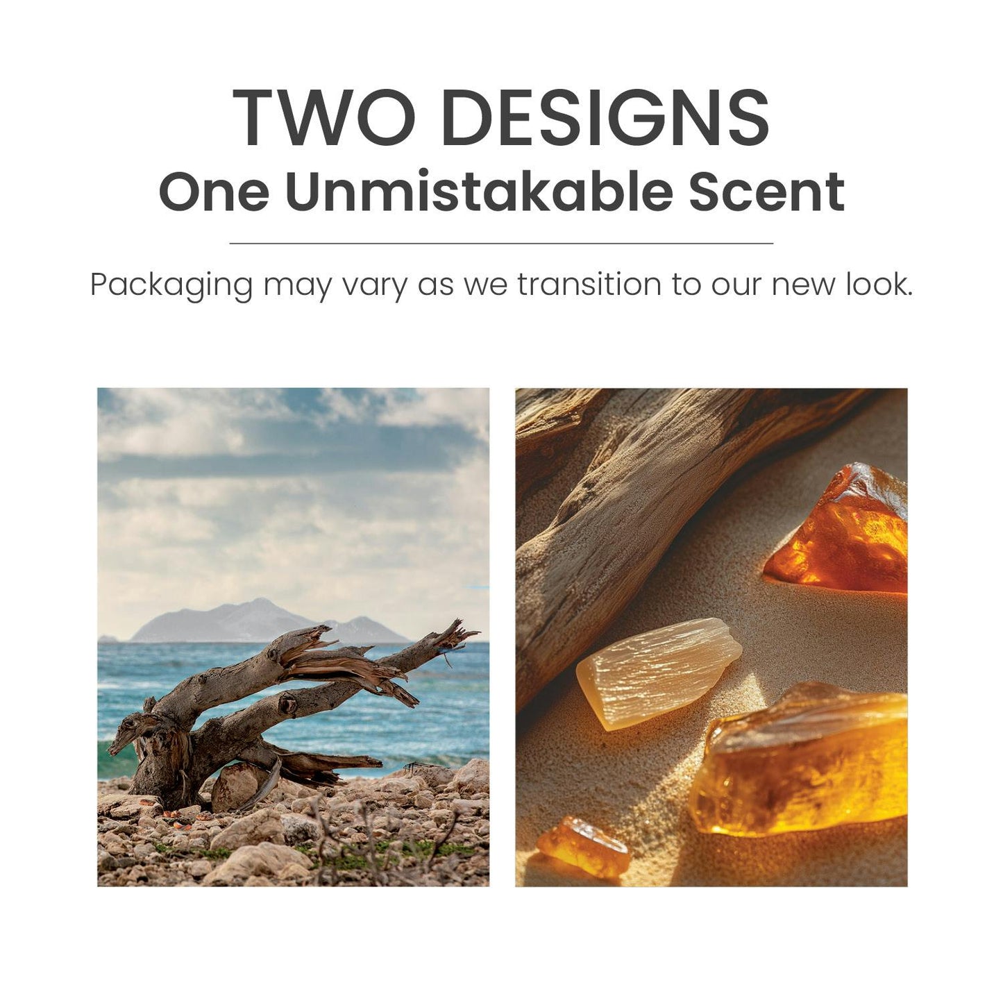 Amber & Sandalwood ScentPlug® Refill