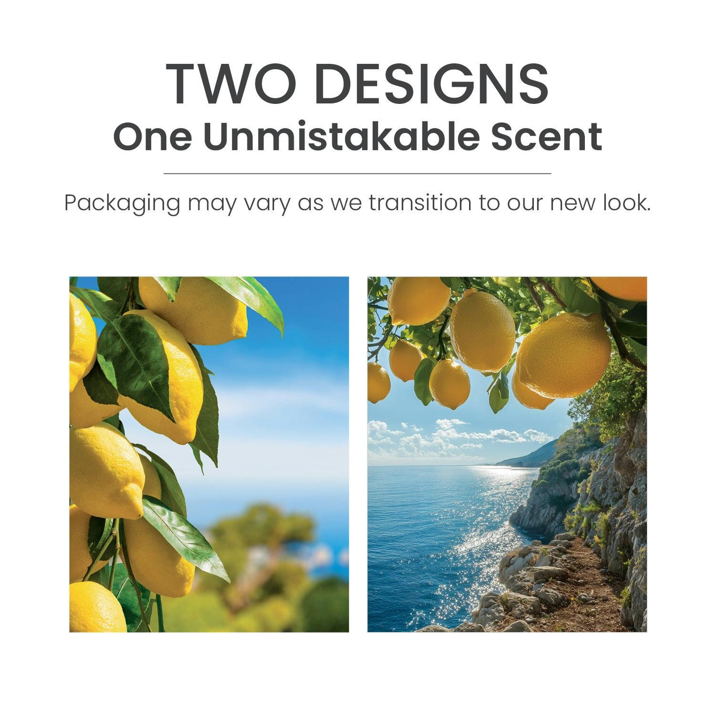 Sicilian Lemon ScentPlug® Refill